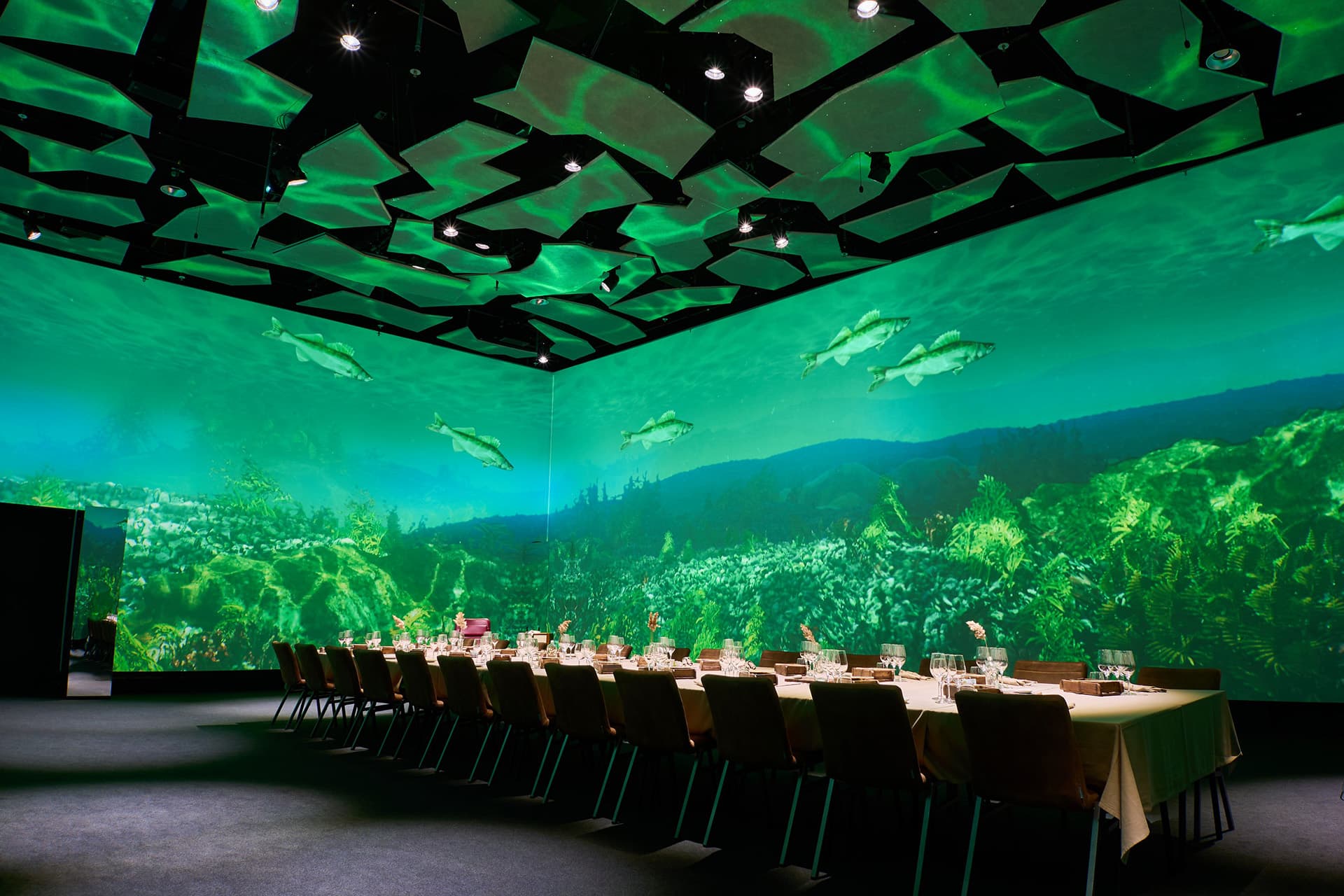 Walls and ceiling covered in immersive projections, powered by a Screenberry media server, at Move5D restaurant and event space