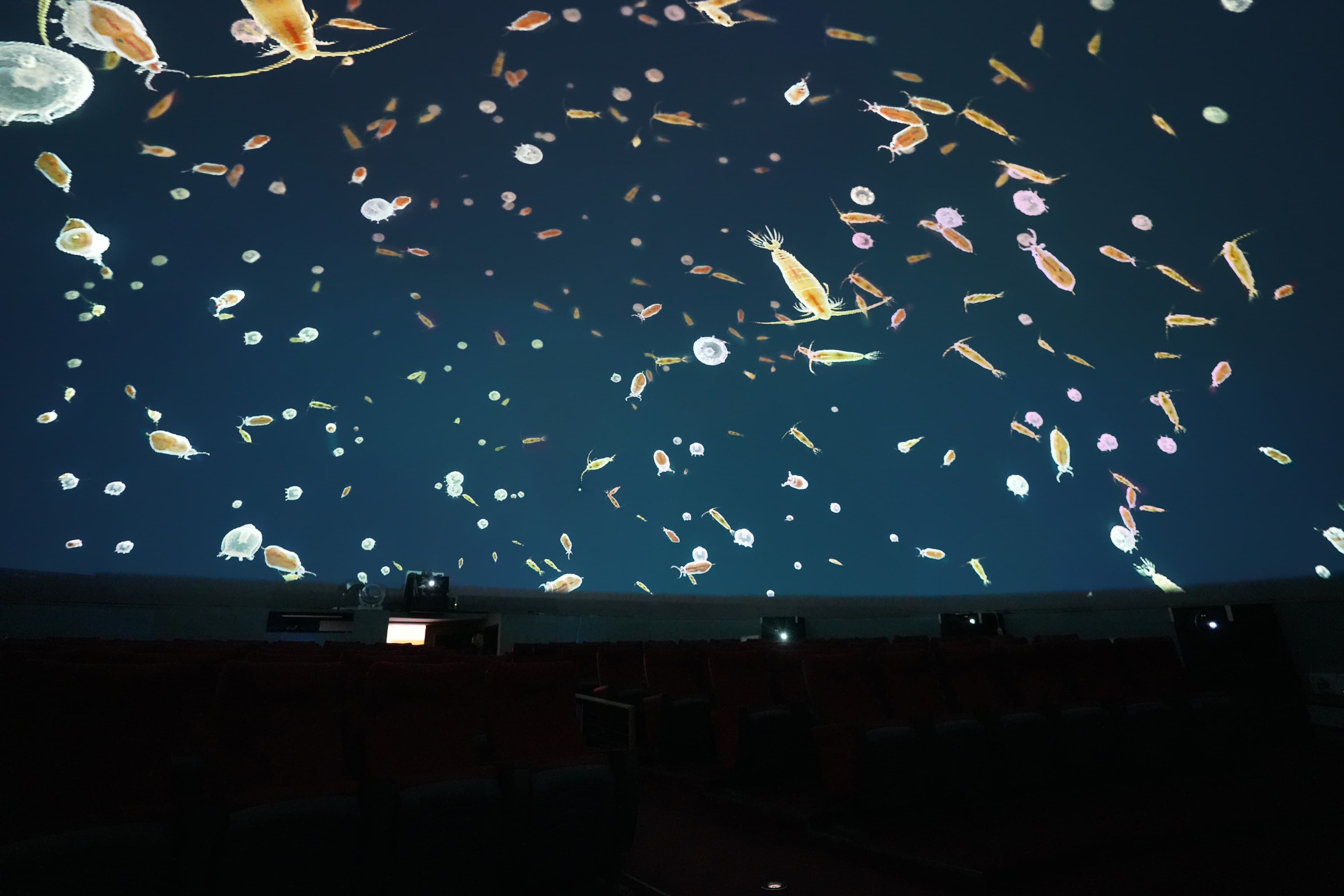 Dome projection at Muju Firefly Observatory